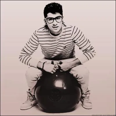 Que voulait-il devenir ?