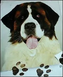 Chien aussi trs connu que l'on peut voir dans le film qui porte son nom. Qui est-ce ?