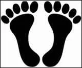 L'essence c'est pas bon ...