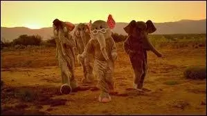 Qui chante  Paradise  ?