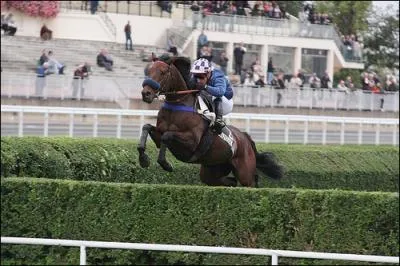 Genre d'obstacle qui peut aussi tre d'honneur ou de trone. C'est un(e)...