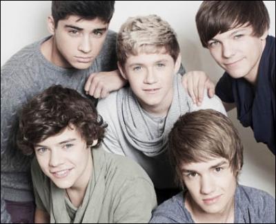 Quel membre de One Direction n'apparaît pas sur cette image ?