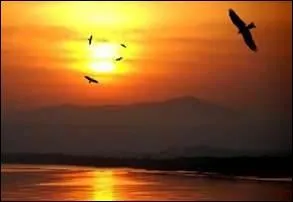 Trouvez la suite : "À l'aurore quand l'oiseau d'or (... )