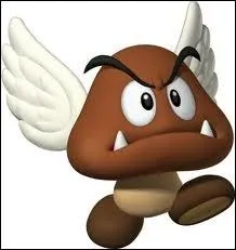 Comment se nomme ce Goomba avec des ailes ?
