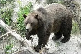 Fran�ais > Anglais...