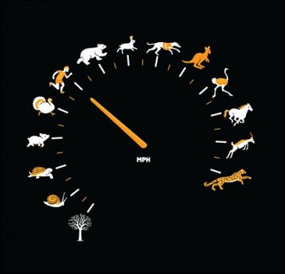 Imaginons que ce soit une horloge, quel animal voyez-vous  deux heures ?