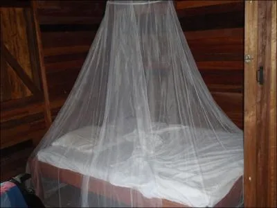 Quel pays africain a dcid de distribuer prs de dix millions de moustiquaires ?