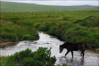 Ce pays est galement surnomm  La perfide Albion , par les franais !