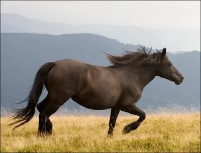 De quel ct monte-t-on ?