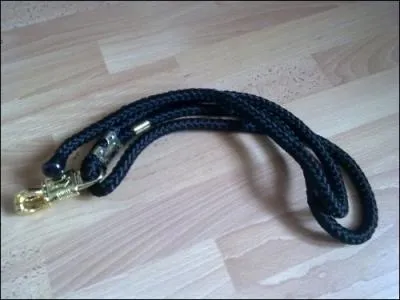 La longe peut-tre en ... ( Sur la photo il y a une rponse ) ( 2 )...