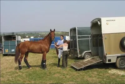 Pour mettre un licol, je me place :