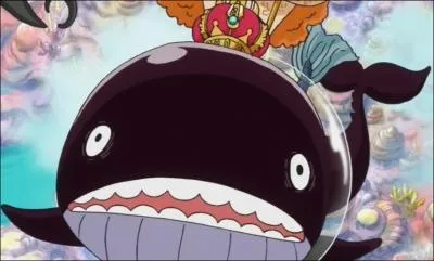 Cette baleine a un nom, mais lequel ?