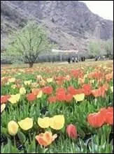 Tant de verdure et tant de (... ), tant de (... )