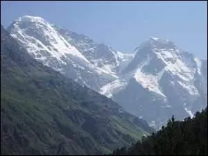 Hérissé d'arbres verts, plumes qui pointent vers son (... ),