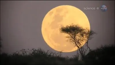 La Lune a évidemment toujours la même taille MAIS son image est plus grosse quand on la voit...