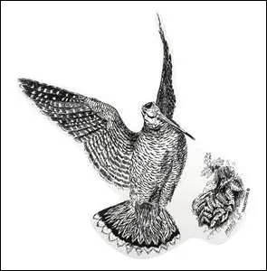 Je croule quand je chante, sinon je ne suis pas d'une intelligence brillante :