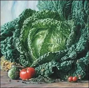 Est-ce que Savinien de Cyrano de Bergerac a écrit : « Dira-t-on que nous sommes faits à l'image du Souverain Être, et non pas les choux ? »