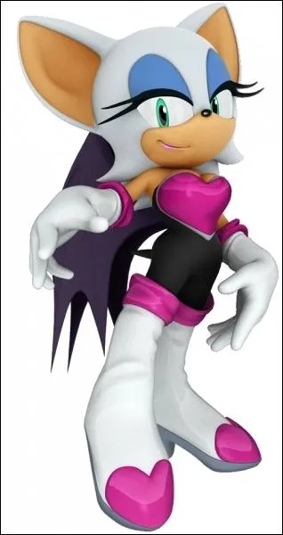 Cette chauve-souris du monde de Sonic aime les bijoux et les Emeraudes du Chaos. On s'est pos la question sur ses sentiments, serait-elle amoureuse de Knuckles ou de Shadow ? Mystre...