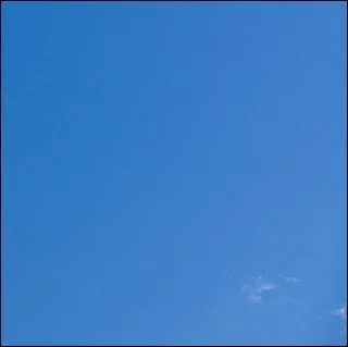 Quelle couleur dtestent les taureaux ?