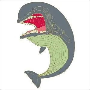 Dans quel dessin anim retrouve-t-on Monstro ?