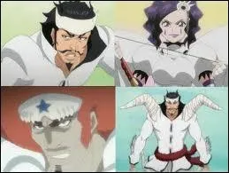 Comment appelle-t-on les Espadas dchus ?