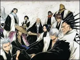 Quel(s) shinigami(s) ont trahis la Soul Society ?