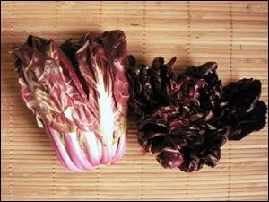 Quelle est cette salade ?