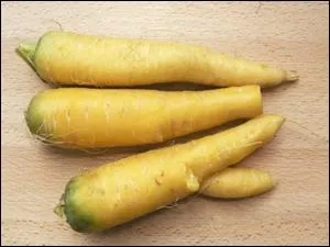 Reconnaissez-vous ces lgumes ?