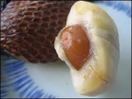 Quel est ce fruit comestible qui pousse  Java et  Sumatra ?