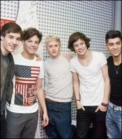 O vivent les One Direction ?