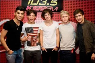 S'ils ne s'appelaient pas les One Direction, comment s'appelleraient-ils ?
