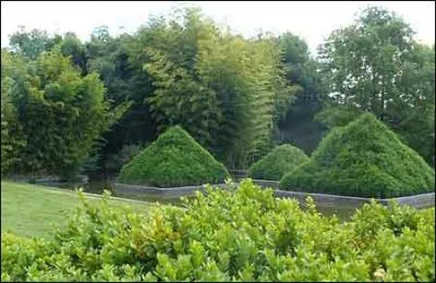 Au milieu d'un bassin empli de lotus vous pourrez en prendre la position !