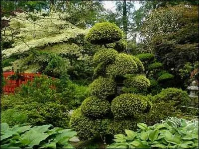 Dans le jardin du Soleil levant, votre pense s'lvera  la seule contemplation de ces oeuvres d'art sculptes. Oui, mais de quelle manire ?