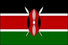 Gographie :  quel pays ce drapeau appartient-il ?