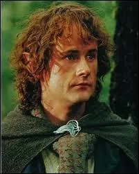 Qui est ce hobbit ?
