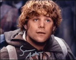 Qui est ce hobbit ?