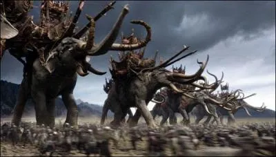 Comment s'appellent ces cratures ?