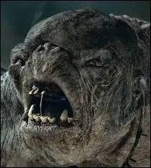 Quelle est cette crature ?