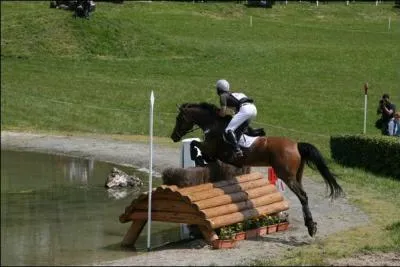Quelle est cette catgorie d'preuves en quitation ?