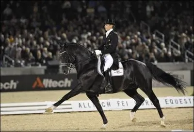 Quelle est cette figure de dressage ?