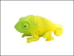 Qui est son animal de compagnie ?