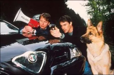 Combien y a-t il de saisons ?