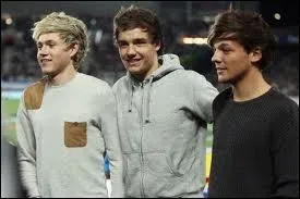 Dans quel parc d'attraction Louis, Liam et Niall sont-ils alls  Atlanta ?
