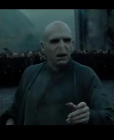 R. D. L. M. (partie 2), lorsque Harry, Ron et Hermione se trouvent prs de l'endroit o Severus Rogue est dcd, on entend Voldemort. Que dit-il ?