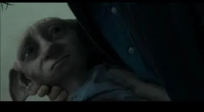 Dans quelle partie Harry, Ron et Hermione revoient-ils Dobby, l'elfe de maison ?