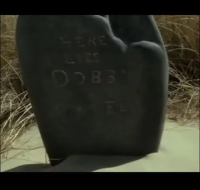 Pourquoi Dobby est-il mort ?