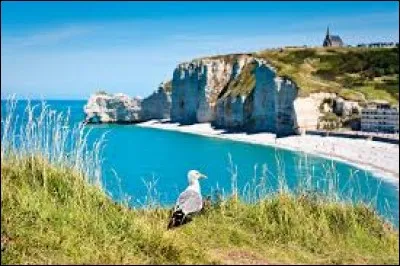 Plage, sable, falaises et roches dans une alternance de paysages sur 40 km pour la Côte fleurie. Où se situe-t-elle ?