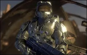 Quel est le nom de ce type d'armure ?