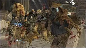 Quel est le nom de cette race ?