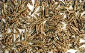 Quelle est cette pice qui parfume certains fromages et charcuteries, aux propriets stimulantes et digestives ?